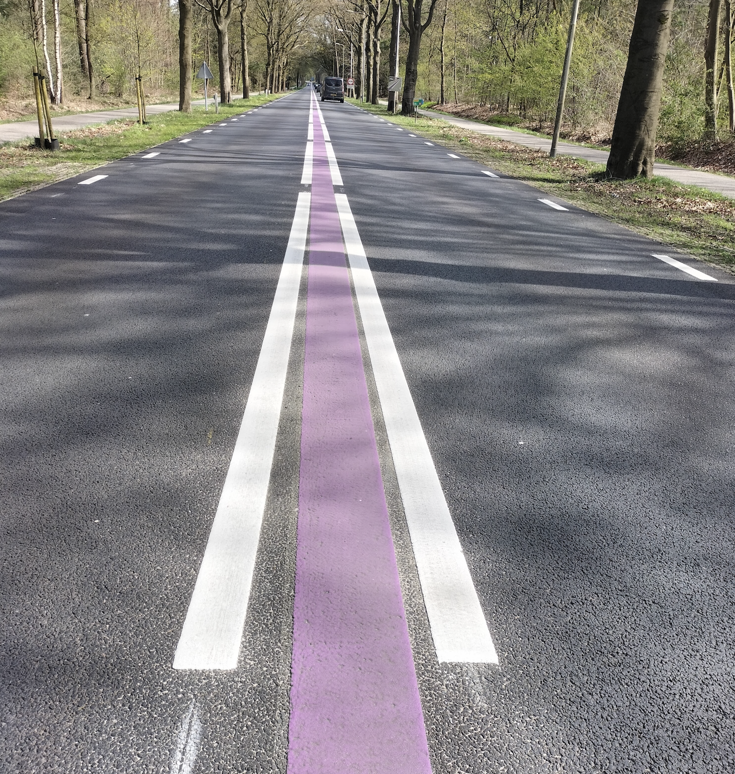 Roze streep op de weg